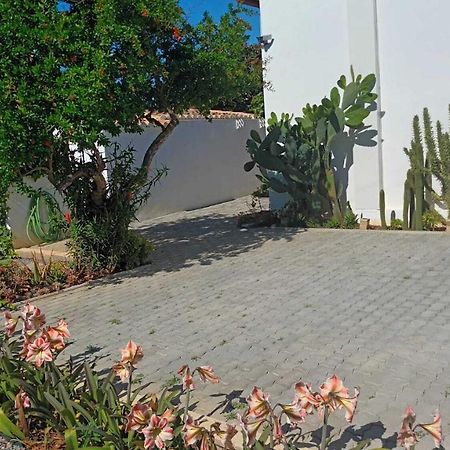 Adelino Guest House Ольян Экстерьер фото