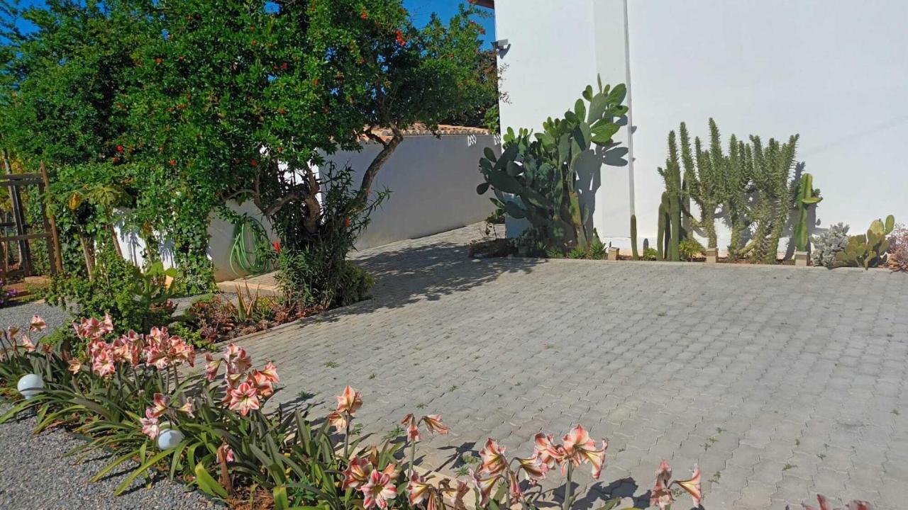 Adelino Guest House Ольян Экстерьер фото